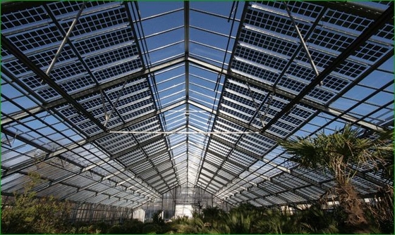 대규모 PV 발전소를 위한 근거가 있는 두 면이 있는 태양 전지판 Titl 60 도 태양 장착 시스템