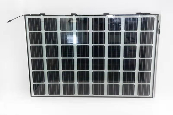 CE BIPV 단일결정 PV 모듈 투명 유리 단일결정 태양 전지판